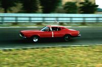 1991 Roseburg Victory Lap 76 Cougar